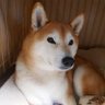 リック's profile picture