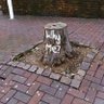 SramotaJeBratiZeleneKruške 的头像