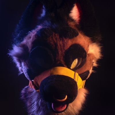 H a k n e e D a w g's profile picture