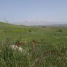Фото профиля Zuzi538625 🇮🇱🧡🧡🧡