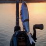 F105釣りアカ's profile picture