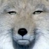 Profilbild von ゴミカス
