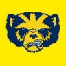 Jake B 〽️'s profile picture