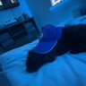 noah's profile picture