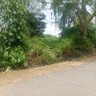 Фото профиля विश्व गुरु की दिक्कतें...