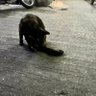 けけ profil fotoğrafı
