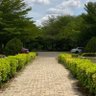 longman profil fotoğrafı