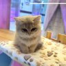 man! profil fotoğrafı