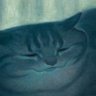 Profilbild von ナショナ
