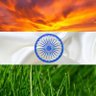 Indianbyblood's profile picture