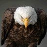 Odidus's profile picture