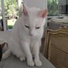 Profilbild von Pepita