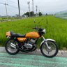 Profilbild von たこのり