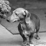 WRBarker's profile picture