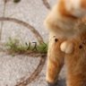 🍃ゆきこ(「ёωё)「┌┛” クィクィ♪ 的头像