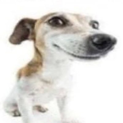 bacon's profile picture