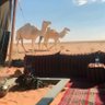 انسان كويس's profile picture