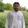 محمدطاهراحمدزای 的头像