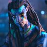 Profilbild von Bluebody3060