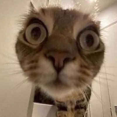 Dan_pt2's profile picture