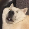 文太 profil fotoğrafı