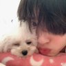 Фото профиля みちえだしゅんすけ🩷🐶