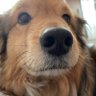 Мarta profil fotoğrafı