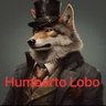 Humberto Lobo 🇨🇿's profile picture