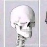 Fule profil fotoğrafı