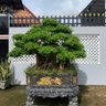 Фото профиля Thấm Nguyễn