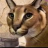 Profilbild von Big floppa enjoyer