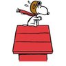 Alison Mayer's profile picture
