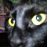 Blacky 的头像