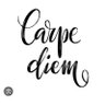 carpediem__🌹( 𝑃𝑒𝑟𝑙𝑒𝑡𝑡𝑖 )'s profile picture