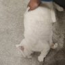 苟灵域's profile picture