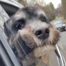 Naomi Martinucci's profile picture