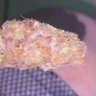 Profilbild von Maconhista Pablo