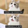 하아미's profile picture