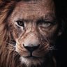 SonOfMan 的头像