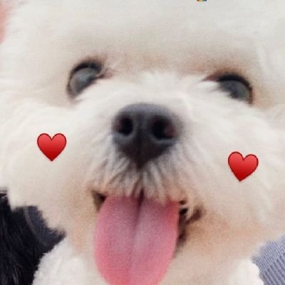 𝟣𝟪𝟩ᴄᴍ.🐶ᩚ🪽's profile picture