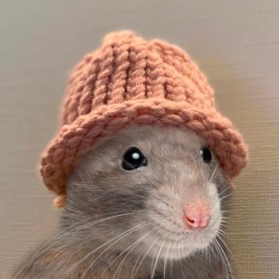 ratwifsol's profile picture