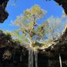 Фото профиля Mauricio EXPLORER