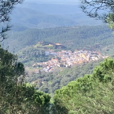 MeteoAlmonaster's profile picture