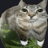 Фото профиля Thewatermeleon