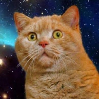 nekohina1103's profile picture