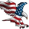 Фото профиля A True & Patriotic American