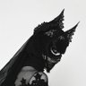 Фото профиля boadicea