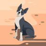 SpEeD Fast's profile picture