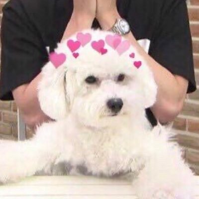 비비's profile picture