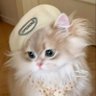 Profilbild von ʸᵃᵐˡᵒᵐᵃʸ ♡̷̷̷